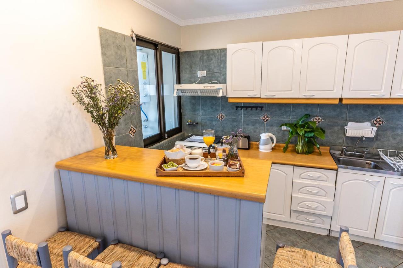Montana Blanca Apartman Farellones Kültér fotó